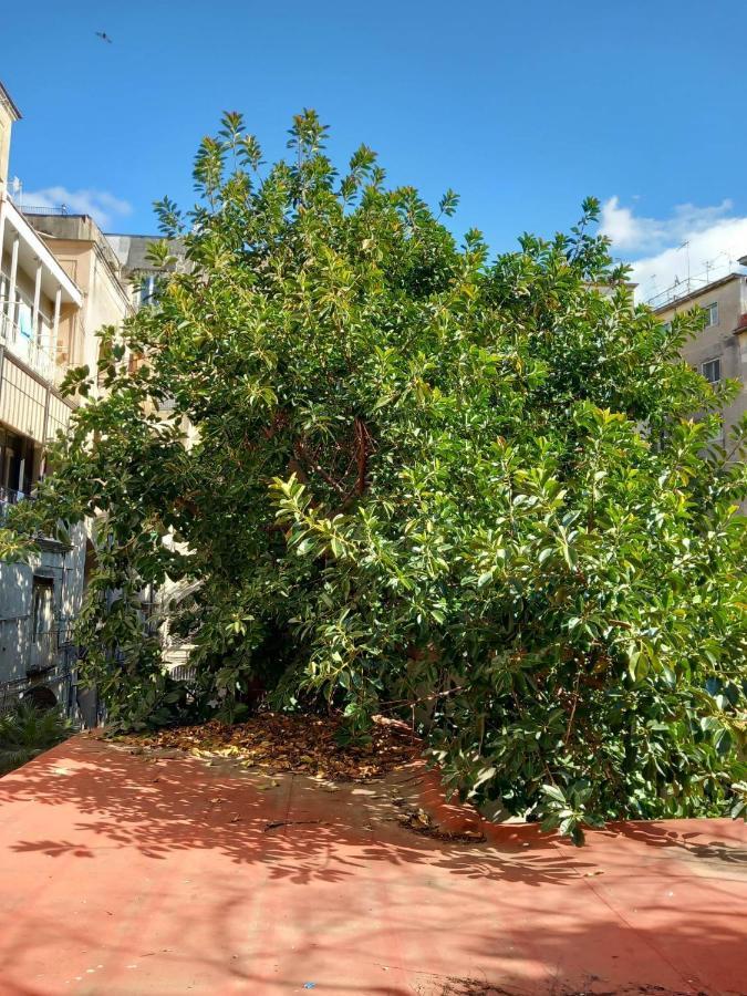 Santa Chiara Home Spaccanapoli Екстер'єр фото